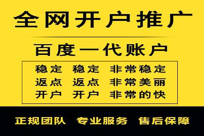 百度广告投放技巧与案例分享